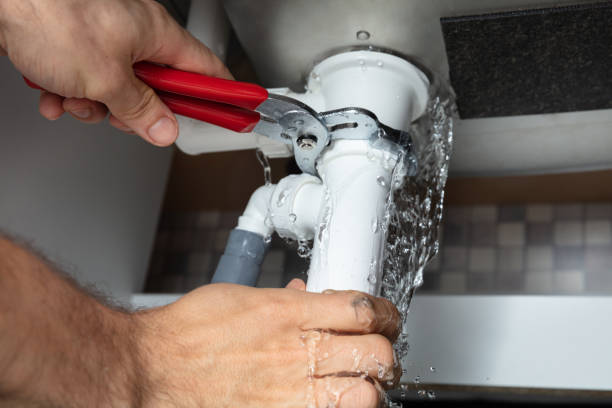 Best Water damage cleanup near me  in Stockton, MO