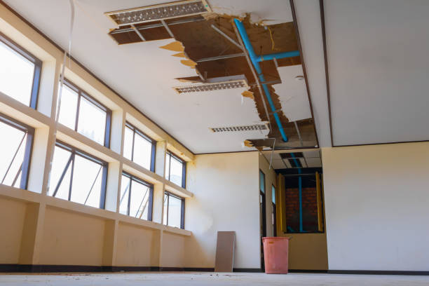 Best Ceiling water damage repair  in Stockton, MO