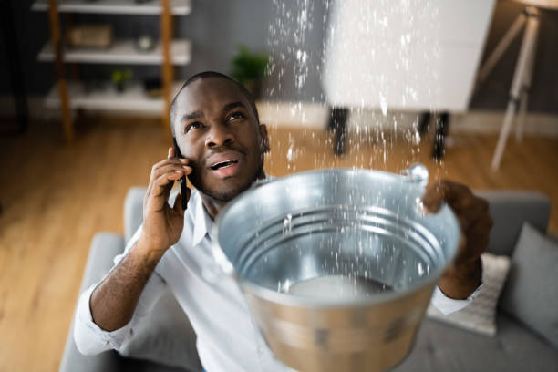 Best Water damage cleanup near me  in Stockton, MO