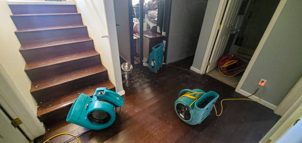Best Water damage restoration experts  in Stockton, MO