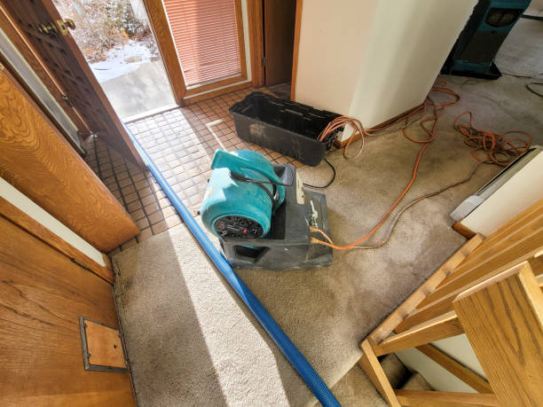 Water damage restoration process in MO