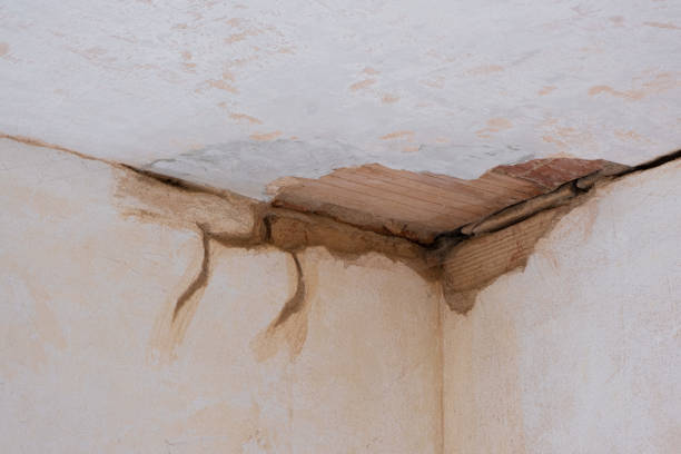 Best 24-hour water damage restoration  in Stockton, MO