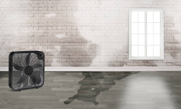 Best Ceiling water damage repair  in Stockton, MO