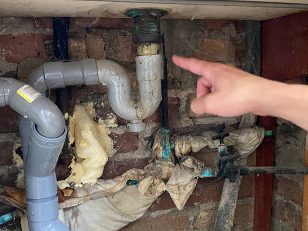 Best Sewage cleanup and water damage restoration  in Stockton, MO