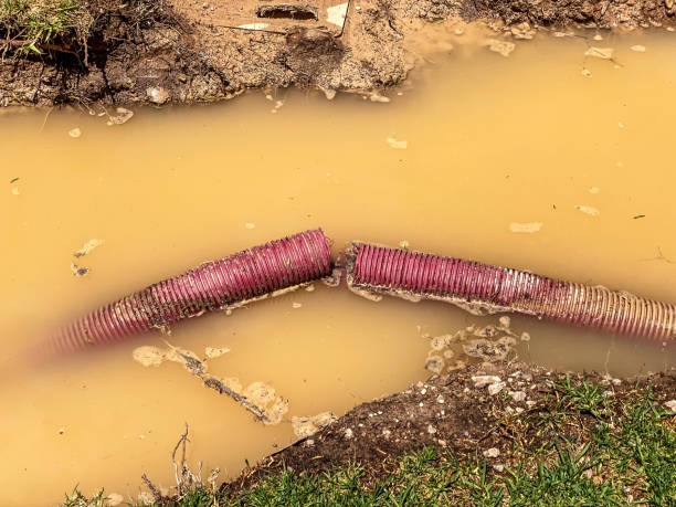 Reliable MO Water damage restoration Solutions