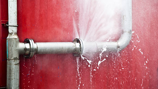 Best Flood restoration services  in Stockton, MO